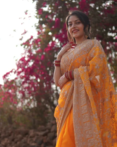 Mridula Thread Wedding Saree